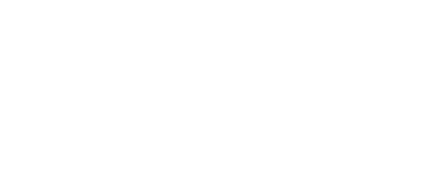 recflex logo